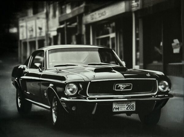 Œuvre « Ford Mustang 1967 » - Marine Tassou