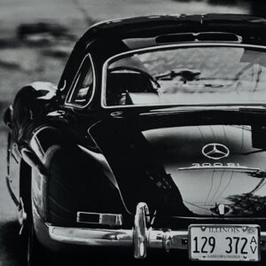 Œuvre « Mercedes 300 SL » - Marine Tassou