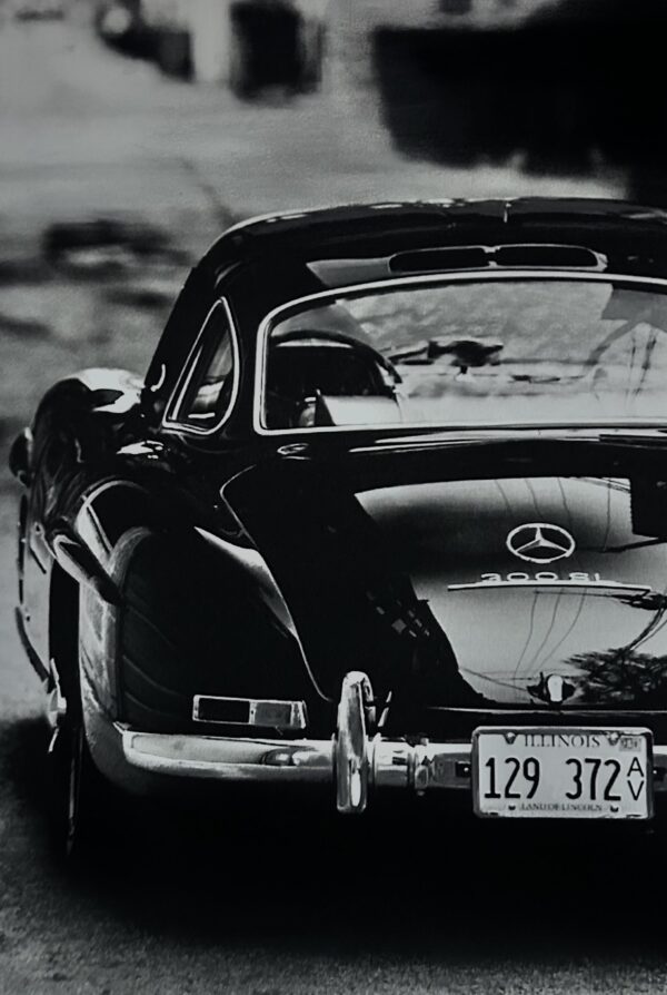 Œuvre « Mercedes 300 SL » - Marine Tassou